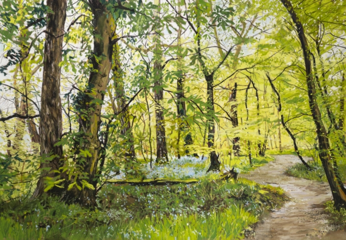 Just a smattering of Bluebells- Gobions Wood