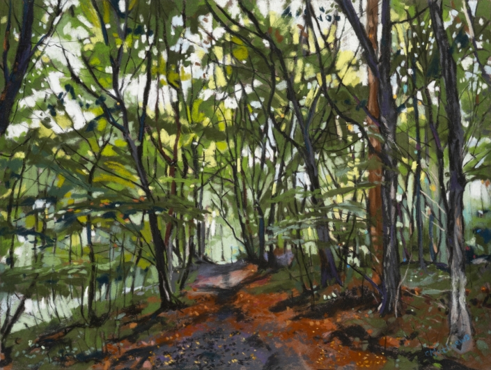 Path Through Gobions Wood