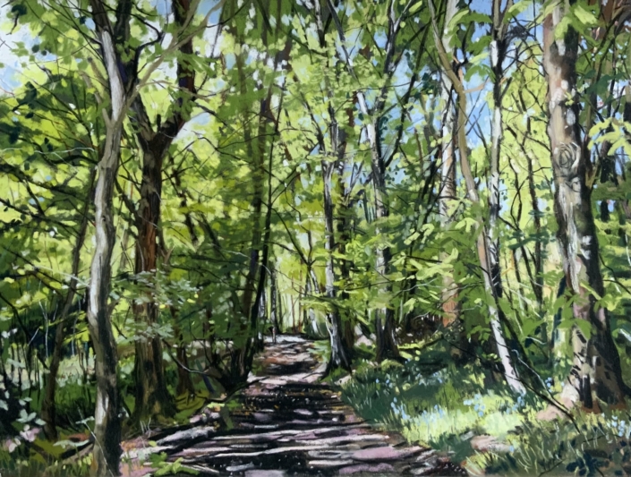 On Tne Red Route 2 – Gobions Wood