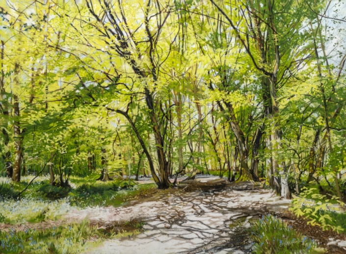Sunbleached Path in Spring- Gobions Wood <br> SOLD