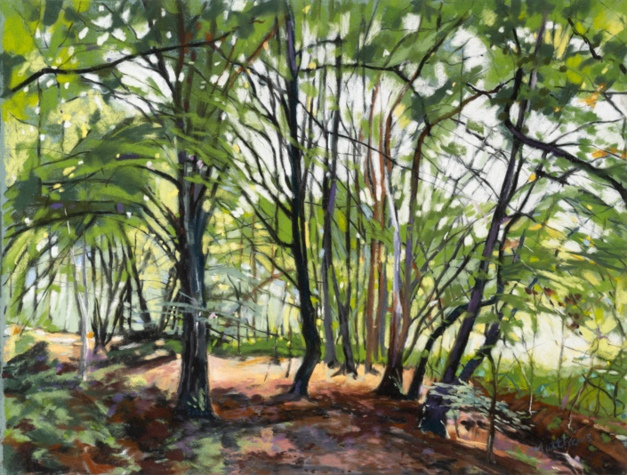 Symphony of Greens 2- Trent Park