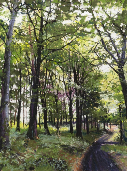 Woods st Rosemeer RHS 2